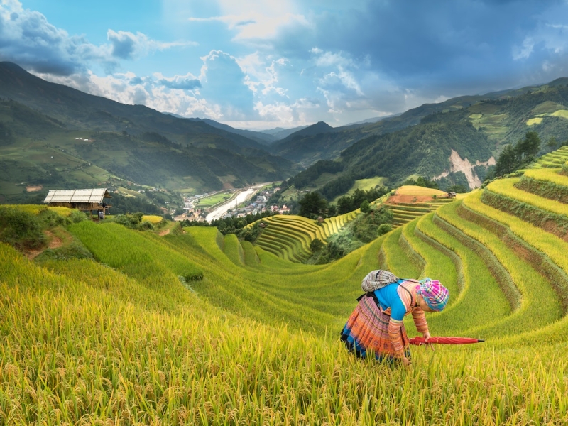 Sonsequat Diam. Nam Vitae Urna Teufelis Tristique