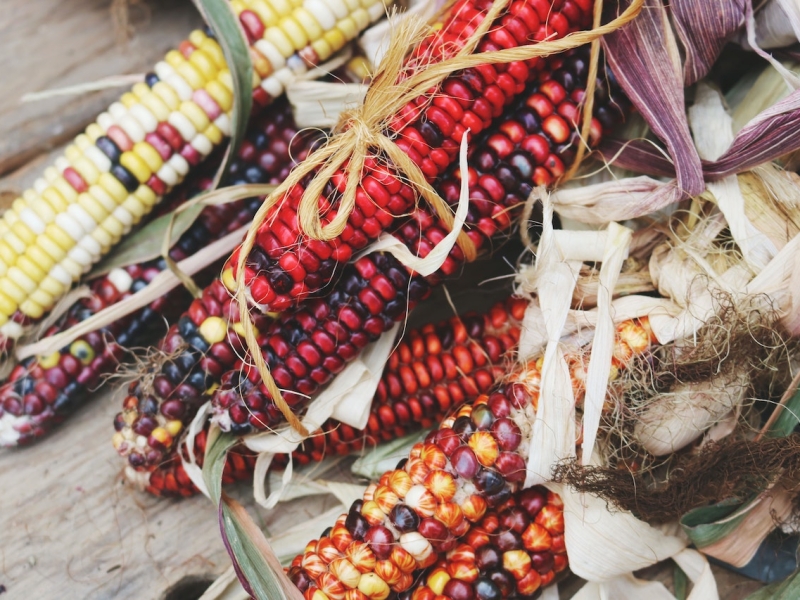 Bukan Lockdown, Jokowi Akhirnya Memilih Opsi Tes Covid-19 Secara Massal